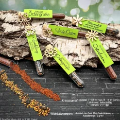 Discount Ostergeschenk Reagenzgläser gefüllt mit Wildblumensamen oder Kressesamen - 5er Set, kleine Aufmerksamkeit, Ostern, Blume Ostergeschenke