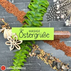 Discount Ostergeschenk Reagenzgläser gefüllt mit Wildblumensamen oder Kressesamen - 5er Set, kleine Aufmerksamkeit, Ostern, Blume Ostergeschenke