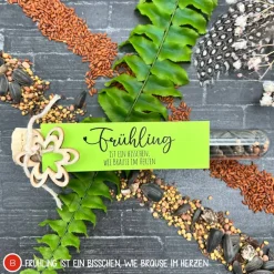 Discount Ostergeschenk Reagenzgläser gefüllt mit Wildblumensamen oder Kressesamen - 5er Set, kleine Aufmerksamkeit, Ostern, Blume Ostergeschenke