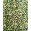 Weihnachtsstoffe|Design in Stoff Patchworkstoff - kleine olivgrüne Blättchen, Robert Kaufmann