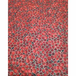 Weihnachtsstoffe|Design in Stoff Patchworkstoff kleine rote Christrosen  auf grünem Hintergrund von Fabri Quilt Saison Greetings 216 Nr. 41
