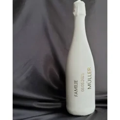 Personalisierte Hochzeitsgläser und Samtüberzug oder bemalte Champagnerflasche | Geschenk für Brautparty und Gäste Hochzeitsdeko