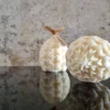 Clearance Pine Cone Kerze I Weihnachtskerze I Weihnachtsdekoration I Dekorative Kerze aus Sojawachs I Home Decor I Hingucker I Han Kerzen & Beleuchtung