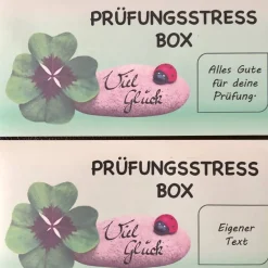 Sale Prüfungsstressbox, Motivationsbox für alle die vor großen Prüfungen stehen - fertig befüllt Geschenke