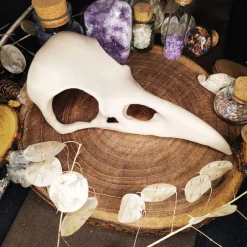 Online Rabenschädel Horror Halloweendekoration Deko Halloween