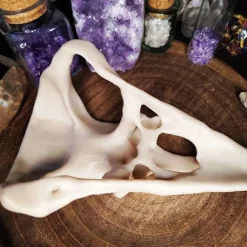 Online Rabenschädel Horror Halloweendekoration Deko Halloween