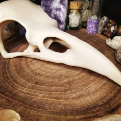 Online Rabenschädel Horror Halloweendekoration Deko Halloween
