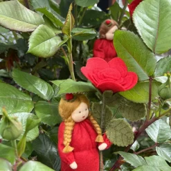 Rose rot -  Jahreszeitentisch - Blumenkind - Sommer Sommer