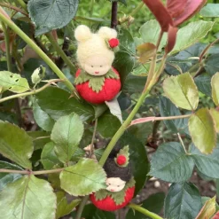 Outlet Rose rot Mini - Blumenkind - Jahreszeitentisch - Sommer Sommer