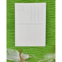 Outlet SALE -30% (Code: NEUEABENTEUER) | Lustige Osterpostkarte mit Huhn Huch, das war wohl zu viel! Osterkarten