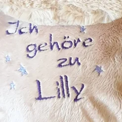 Geldgeschenke|Welz-Emotion Superheld Bär - Kuscheltier individuell bestickt zur Geburt, Taufe, Geburtstag oder weiteren Anlässe