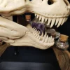 Clearance T-Rex Schädel Dinosaurier Kuriositätenkabinett Deko Halloween