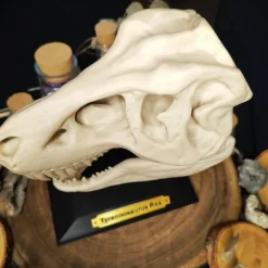 Clearance T-Rex Schädel Dinosaurier Kuriositätenkabinett Deko Halloween