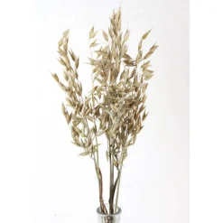 Trockenblumen: 5 Stiele Hafer getrocknet, naturfarben, ca. 40 cm Tischdekoration