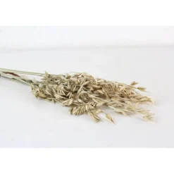 Trockenblumen: 5 Stiele Hafer getrocknet, naturfarben, ca. 40 cm Tischdekoration