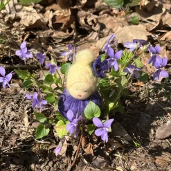 Frühling|SewingSusi Veilchen Mini - Blumenkind - Jahreszeitentisch - Frühling