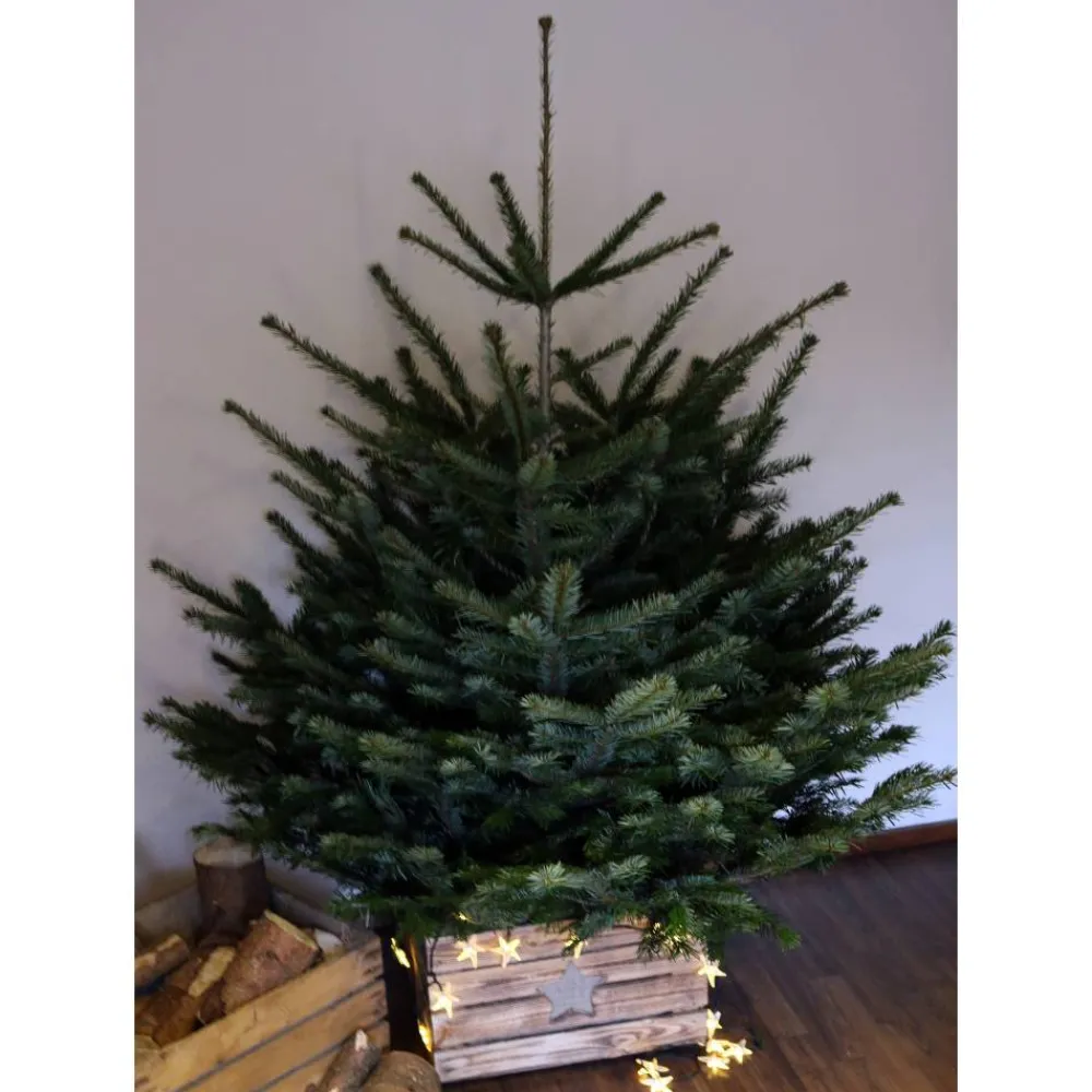 Outlet VINTAGE WEIHNACHTSBAUMSTÄNDER Christbaum Ständer aus Holz alte Rustikale OBSTKISTE Weihnachtsdeko Holzkiste Baumhalter Weihnachten Geschenk Weihnachtsbaumdecken