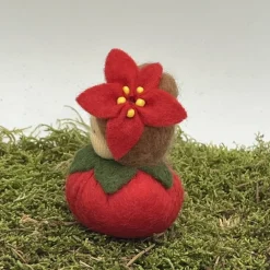 Clearance Weihnachtsstern Mini - Blumenkind - Jahreszeitentisch - Winter - Frühling Sommer