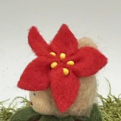 Clearance Weihnachtsstern Mini - Blumenkind - Jahreszeitentisch - Winter - Frühling Sommer
