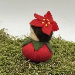 Clearance Weihnachtsstern Mini - Blumenkind - Jahreszeitentisch - Winter - Frühling Sommer