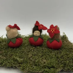 Clearance Weihnachtsstern Mini - Blumenkind - Jahreszeitentisch - Winter - Frühling Sommer