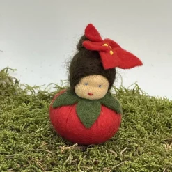 Clearance Weihnachtsstern Mini - Blumenkind - Jahreszeitentisch - Winter - Frühling Sommer