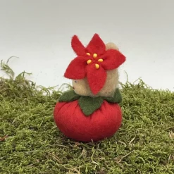 Clearance Weihnachtsstern Mini - Blumenkind - Jahreszeitentisch - Winter - Frühling Sommer