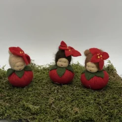 Clearance Weihnachtsstern Mini - Blumenkind - Jahreszeitentisch - Winter - Frühling Sommer