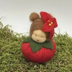 Clearance Weihnachtsstern Mini - Blumenkind - Jahreszeitentisch - Winter - Frühling Sommer