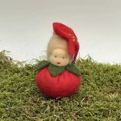 Clearance Weihnachtsstern Mini - Blumenkind - Jahreszeitentisch - Winter - Frühling Sommer