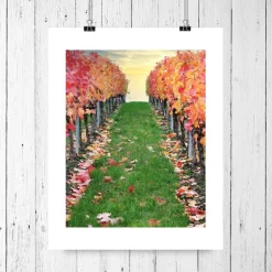 Herbst|ANNblick Fotokunst by Ann Weinberg im Herbst, Weinland Franken, Herbstlaub rot, Weinblätter, Heimatbild Weinland Unterfranken, Größe 18 x 24 cm