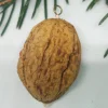 Baumschmuck|Danielas IdeenReich Wichtel in Walnussschale – Christbaumschmuck aus Polymer Clay