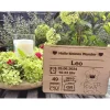 Outlet Willkommensschild zur Geburt mit Wunschgravur und Wunschmotiv Geschenke